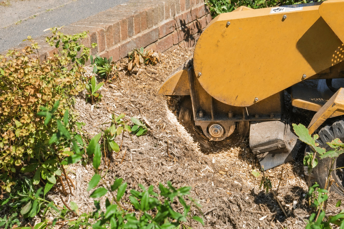 Stump grinding in Burbank, CA